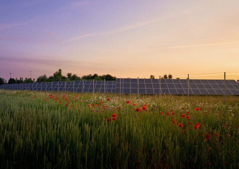 Aufnahme zur Feinplanung zur Errichtung von Freiflächensolaranlagen in die Landesplanung